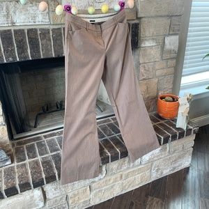 Express - Editor Pant